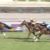 【競馬】天帝ルーカス弱すぎワロタｗｗｗｗｗｗｗｗｗ