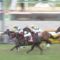 【競馬】スプリングSの勝ち馬忘れたwwwwwww