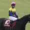 【競馬/宝塚記念】角居師、亡きシャケトラに対しての気持ちを素直に吐き出す…