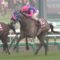【競馬】ダービーはメイショウテンゲンが大穴開ける