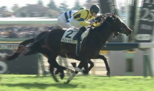 【競馬】田辺がラストドラフトを降ろされる・・・皐月賞はシュタルケに決定・・・ 【競馬】田辺がラストドラフトを降ろされる・・・皐月賞はシュタルケに決定・・・