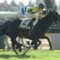 【競馬】田辺がラストドラフトを降ろされる・・・皐月賞はシュタルケに決定・・・