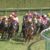 【競馬・サウジアラビアRC】ノッキングポイント弱すぎワロタｗｗｗｗｗｗｗｗｗｗｗｗｗ