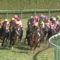 【競馬】函館に乗りに来てる桑村って誰やねんwww