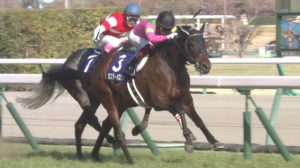 【競馬/高松宮記念】ミスターメロディの父スキャットダディ凄すぎワロタｗｗｗｗｗ