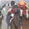 【競馬】砂の王者ルヴァンスレーブ帰厩！！1年半ぶりの実戦かしわ記念へ