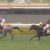 【競馬】誰も弥生賞の事を「ディープインパクト記念」と言っていない件