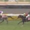 【競馬/弥生賞】4着ニシノデイジー勝浦「スムーズに行ったと思うし、これといって敗因がない」