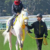 【競馬/高松宮記念】スノードラゴンてアンカツ、佐藤哲三、ナリタトップロードの渡辺薫彦も乗ってたんだな