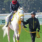 【競馬/高松宮記念】スノードラゴンてアンカツ、佐藤哲三、ナリタトップロードの渡辺薫彦も乗ってたんだな