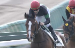 【競馬】DMMバヌーシー総額43500万円のエブリワンブラックひっそりと終了ｗｗｗ【全兄キタサンブラック】