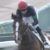 【競馬】武豊でデビュー予定のジェンティル全妹ダブルアンコール気性難によりデビュー延期ｗｗ【4億円】