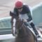 【競馬】3億9千万の馬ダブルアンコール(ジェンティル全妹)が水口騎手でデビュー！！衝撃のデビューに刮目せよ！