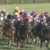 【競馬】古川奈穂の手術が成功
