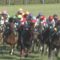 【競馬】悲報・・府中またレコードwwww