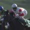 【競馬】ダノンスマッシュ、川田との新コンビで函館SSへ