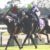 【競馬】平成最後の天皇賞(春)のメンバーが史上最低レベルにｗｗｗｗｗｗｗｗｗ