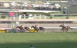 【競馬・スプリンターズS】モズスーパーフレアに約600万のぶち込み