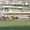 【競馬・スプリンターズS】モズスーパーフレアに約600万のぶち込み