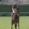 【競馬】グランアレグリアにアクシデント発生【スプリンターズS1週前】