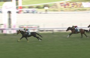 【競馬/ヴィクトリアM】デンコウアンジュ狙ってる奴こい！理由は？