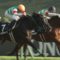 【競馬】キャロットクラブ募集馬検討スレ