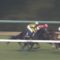 【競馬/桜花賞】武豊シェーングランツ最後方ｗｗｗｗｗｗｗｗｗｗｗｗｗｗｗｗｗｗ