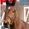 【競馬】POG本発売【2019-20】