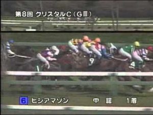 【競馬】女傑ヒシアマゾン死亡