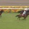 【競馬】リオンリオンとかいう謎の日本馬が凱旋門賞に登録してる件