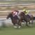 【競馬・ローズS】ダノンファンタジー勝ったけど・・・