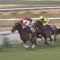 【競馬】秋のダノン祭り始まる