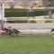 【競馬】シゲルピンクダイヤ和田ｗｗｗｗｗｗｗｗｗｗｗｗｗｗｗｗｗ