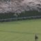 【競馬】新人騎手大塚君ついに初勝利へ