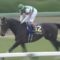 【競馬/日本ダービー】サートゥルナーリアなんて単勝1.5倍以下で買うような馬じゃないだろ