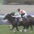 【競馬】サートゥルナーリア、ルメール乗りかわり