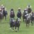 【競馬/皐月賞】アンカツ激怒「審議長すぎや。、あれが審議なら、もっと降着を検討せなあかんレースたくさんあるよ」