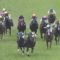 【競馬/日本ダービー】競馬板有識者「タックルが無ければヴェロックスが勝ってた」川田「着差以上に勝ち馬は強かった」←これ