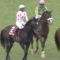 【競馬】リオンリオン屈腱炎