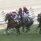 【競馬】[動画あり] 丸山元気、8日間の騎乗停止