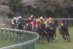 【競馬/桜花賞】エールヴォア松山「何が何でも逃げる」調教師「18着でもいいからハナは絶対に譲らない」 【競馬/桜花賞】エールヴォア松山「何が何でも逃げる」調教師「18着でもいいからハナは絶対に譲らない」
