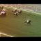 【競馬】JRA公式「夢のVS.」東京2400mでシンボリルドルフ VS　ディープインパクト