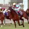 【競馬】アーモンドアイ両後ろ脚負傷で放牧、秋は天皇賞目標