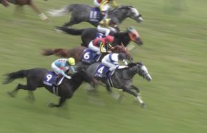 【競馬/ヴィクトリアM】１：３０．５ｗｗｗ