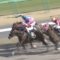 【競馬】いい加減デアフルーグから津村降ろせよ