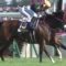 【競馬】ラヴズオンリーユージャパンカップ参戦へww