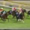 【競馬】平成13年の関東G1ファンファーレはオイオイと言ってない…