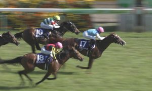 【競馬】みんなの競馬(安田記念の翌週)「アーモンドアイは勝てた、武豊が悪い」