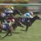 【競馬】みんなの競馬(安田記念の翌週)「アーモンドアイは勝てた、武豊が悪い」