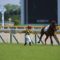 【競馬・日本ダービー】サトノレイナス国枝師「内枠だったらね。もう一回やり直させてほしいよ（笑）」」